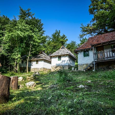 Camp Divlja Rijeka Hum Exterior foto