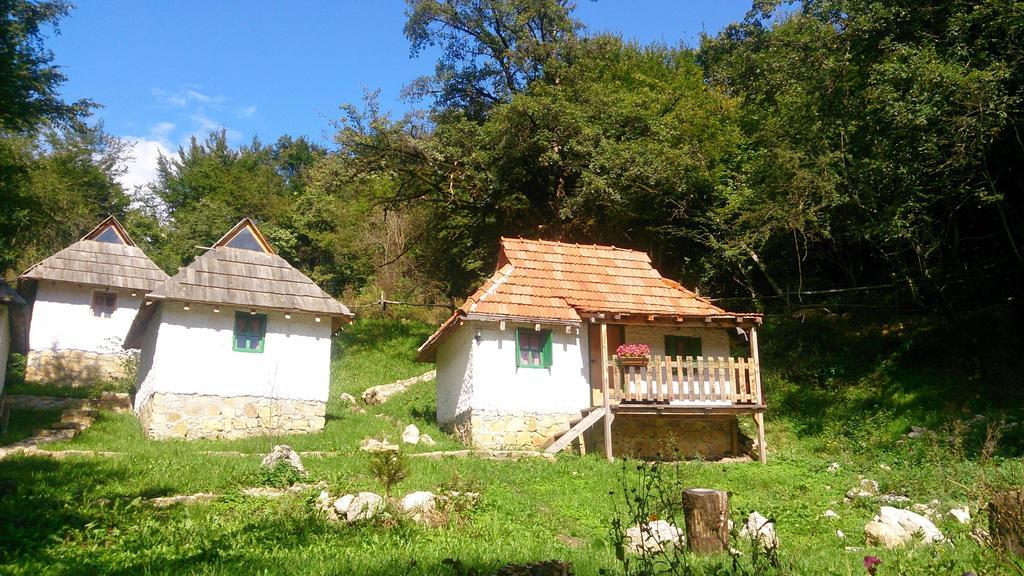 Camp Divlja Rijeka Hum Exterior foto