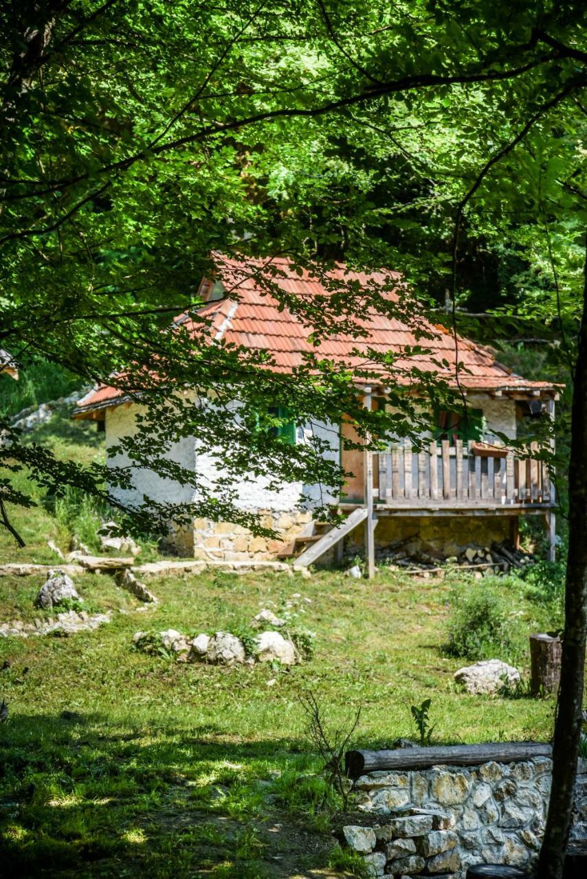 Camp Divlja Rijeka Hum Exterior foto